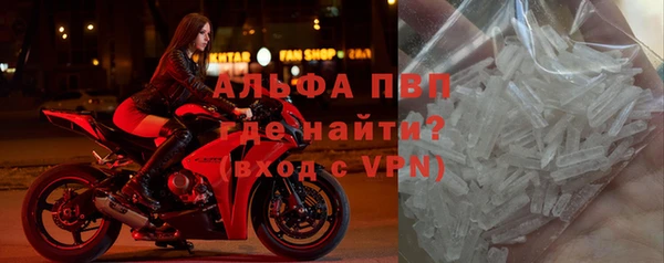 амф Аркадак