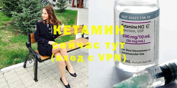 шишки Армянск