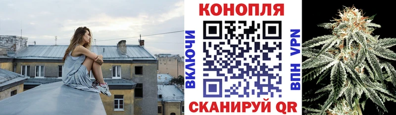 Марихуана план  Купить  Старая Русса 